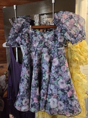 Selkie Nirvana Parliament Dress XL